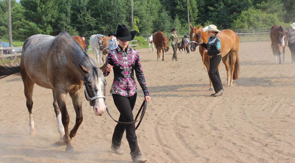Saddle Club.jpg